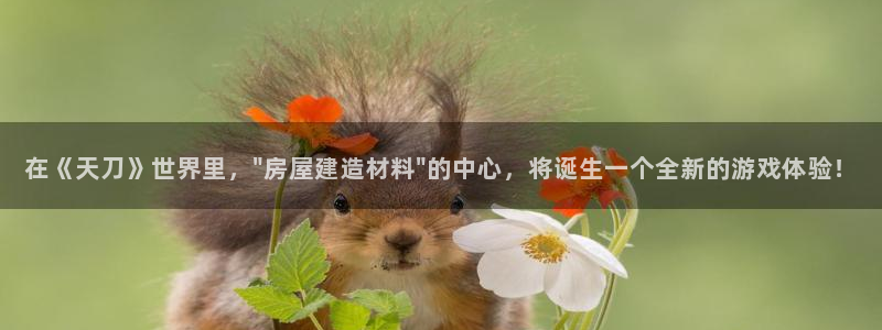 威九国际78m域名：在《天刀》世界里，\