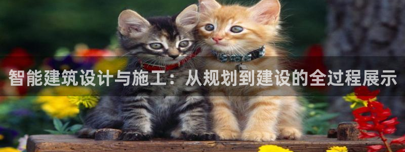 78mapp威九国际官网：智能建筑设计与施工：从规划到建设的全过程展示