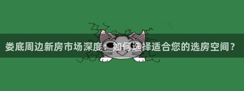 威九国际下载：娄底周边新房市场深度：如何选择适合您的选房空间？