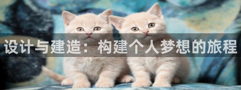 威九国际旗下艺人有谁：设计与建造：构建个人梦想的旅程