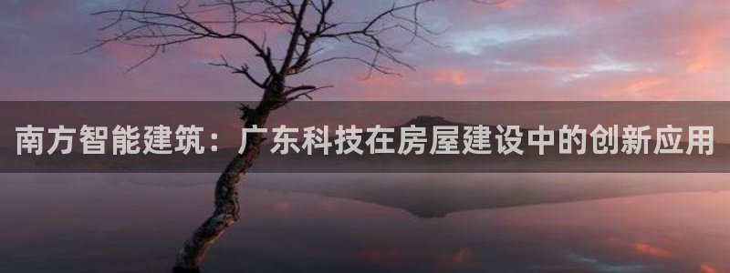 威九国际网站在哪里：南方智能建筑：广东科技在房屋建设中的创新应用