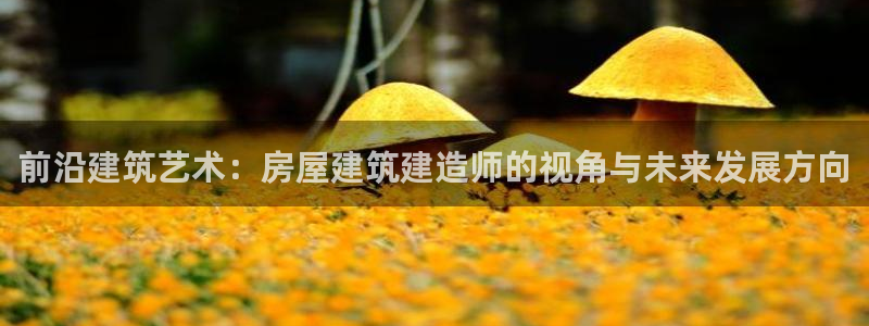 威九国际网站怎么样知乎：前沿建筑艺术：房屋建筑建造师的视角与未来发展方向