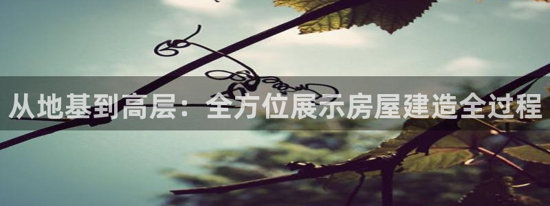 威九国际v96BET：从地基到高层：全方位展示房屋建造全过程