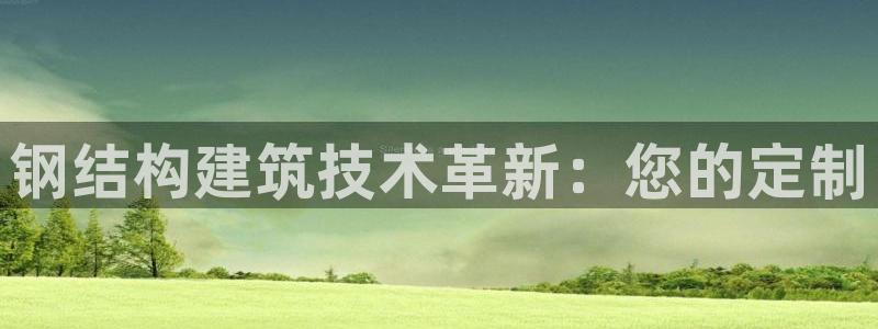 威九国际官网登录入口网站：钢结构建筑技术革新：您的定制