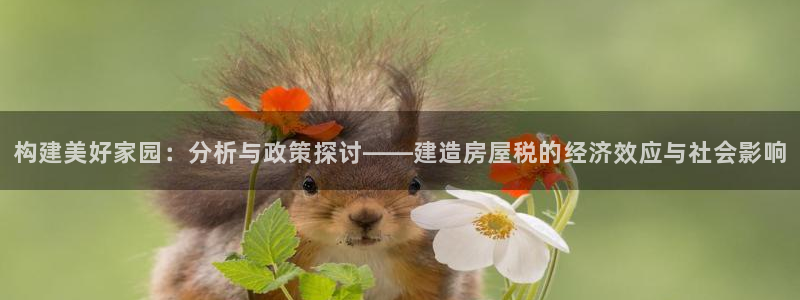 威九国际取款不到账：构建美好家园：分析与政策探讨——建造房屋税的经济效应与社会影