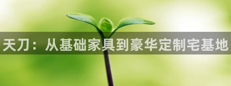 威九国际免费版：天刀：从基础家具到豪华定制宅基地