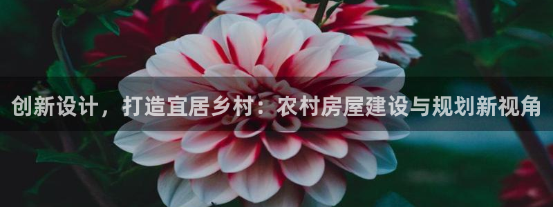 威九国际MV：创新设计，打造宜居乡村：农村房屋建设与规划新视角