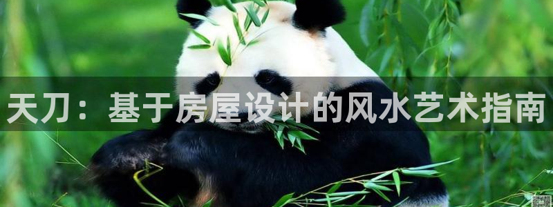 威九国际入囗：天刀：基于房屋设计的风水艺术指南