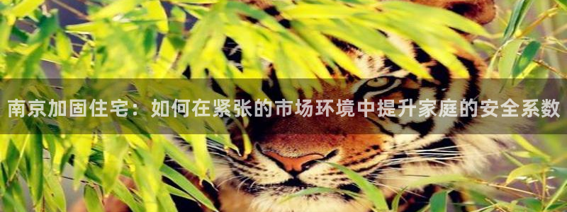 威九国际娜娜：南京加固住宅：如何在紧张的市场环境中提升家庭的安全系数