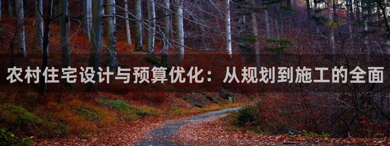 威九国际取款：农村住宅设计与预算优化：从规划到施工的全面