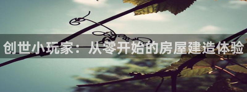 威九国际v18：创世小玩家：从零开始的房屋建造体验