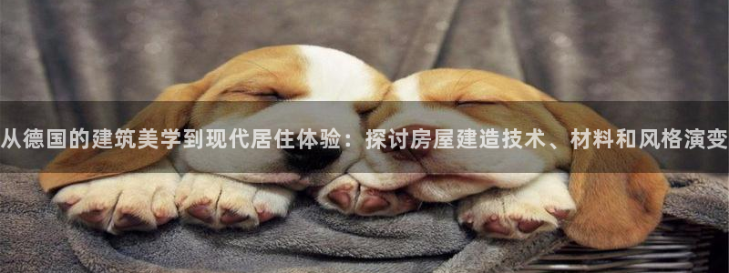 威九国际安全吗的认证团队：从德国的建筑美学到现代居住体验：探讨房屋建造技术、材料和风格演变