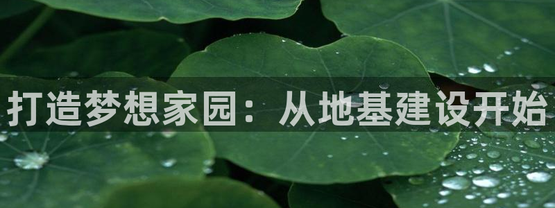 威九国际韩国：打造梦想家园：从地基建设开始