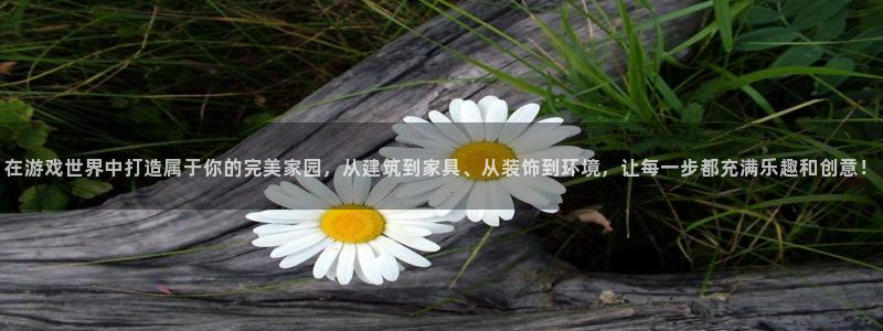 威九国际h5：在游戏世界中打造属于你的完美家园，从建筑到家具、从装饰到环境，让每一步都充满乐趣和创意