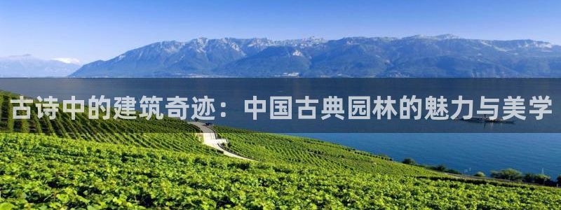 威九国际78m域名：古诗中的建筑奇迹：中国古典园林的魅力与美学